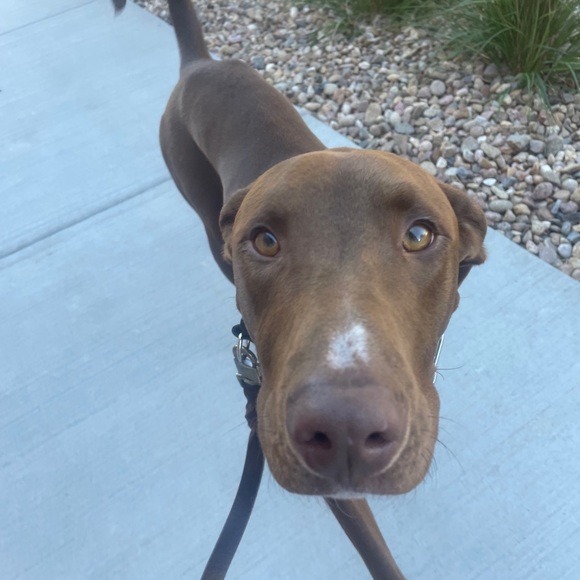 Meet your Posher, Laurie - Picture 13 of 16